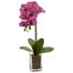 Orchid Phalaenopsis Artificial Arrangement in Vase - Pink