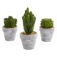 Cactus Artificial Plant (Set of 3)