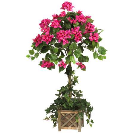 34" Bougainvillea Topiary w-Wood Box