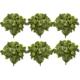 Stunning 16" Pothos Artificial Plant (Set of 6)