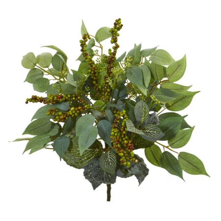 Stunning 14" Mixed Ficus Fittonia and Berries Bush (Set of 6)