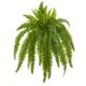 Stunning 35" Boston Fern Artificial Plant (Set of 2)