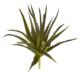 10" Aloe Pick Artificial Plant (Set of 6)