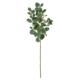 34" Eucalyptus Artificial Branch (Set of 6)