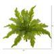 14" Fern Artificial Plant (Set of 6)