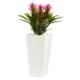 26" Triple Bromeliad Plant in White Tower Planter - Purple