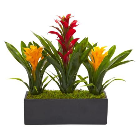 Vibrant 15" Bromeliads in Rectangular Planter Red Yellow