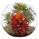 Vibrant 6" Succulent Artificial Plant in Round Vase