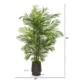 Stunning 65" Areca Palm Tree in Planter UV Resistant (Indoor-Outdoor)