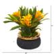 11" Bromeliad Artificial Plant in Stoneware Planter - Yellow