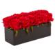 Red Roses in Black Rectangular Planter