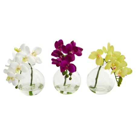 Phalaenopsis Pot (Set of 3)