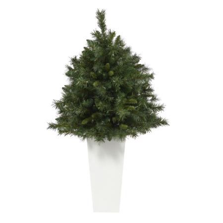 Stunning 4' Wyoming Pine Christmas Tree w-150 Lights in Planter