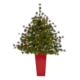 Luxurious 44" Colorado Mountain Xmas Tree w-50 Lights in Planter