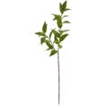 NN2340 S6 GR 1 Laurel Leaf Artificial Spray,Laurel Leaf Plant,leaf stems