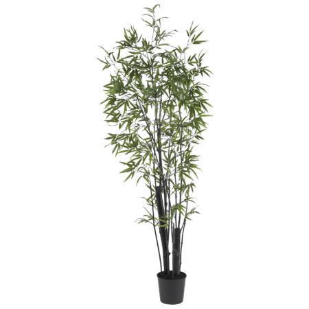 Bamboo Tree
