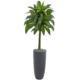 Artificial Rubber Tree