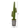 NNP1118 1 Cactus Artificial Plant