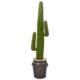 NNP1119 Cactus Artificial Plant