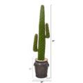 NNP1119 1 Cactus Artificial Plant