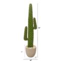 NNP1121 1 Cactus Artificial Plant