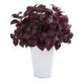 NNP1162 BG 1 Basil Artificial Plant