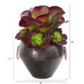 NNP1263 1 Echeveria and Succulent Artificial Plant