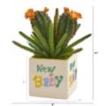 Cactus Succulent Artificial Plant,cactus,lifelike cacti,cactus for sale